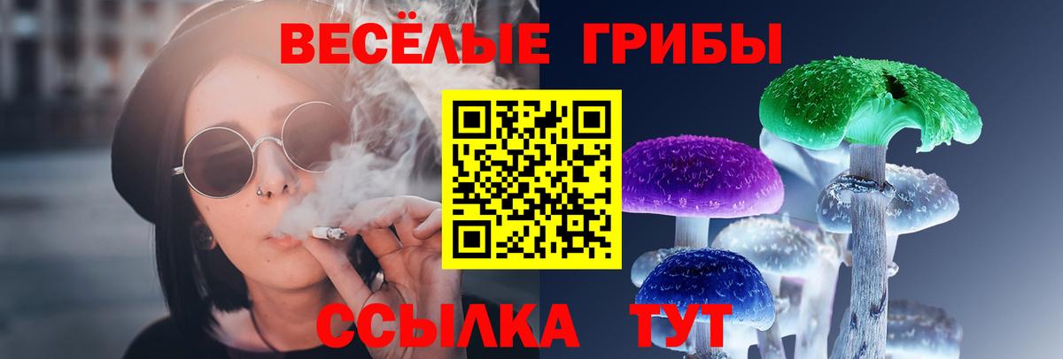 Псилоцибиновые грибы Cubensis  Вход с VPN  Карпинск 